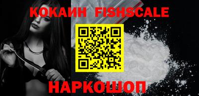 стафф Гай