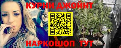 стафф Гай