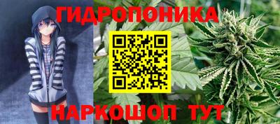 Альфа ПВП Гатчина