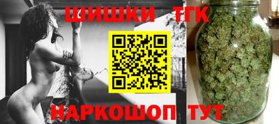 Альфа ПВП Гатчина
