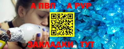 стафф Гай