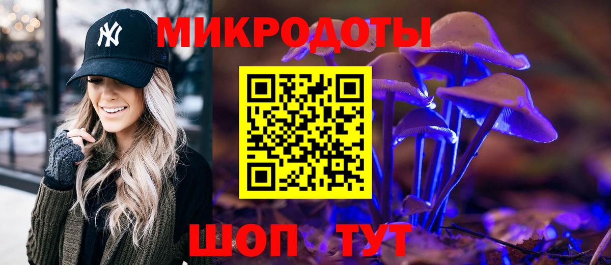 Ишимбай  Псилоцибиновые грибы мицелий  Вход с VPN 